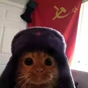 Alan
